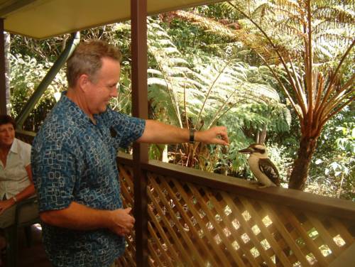 Imagen de la habitación del Hotel Chambers Wildlife Rainforest Lodges. Foto 4