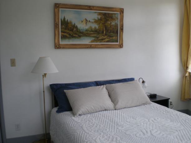 Imagen de la habitación del Hotel Chameleon, Castlegar. Foto 3