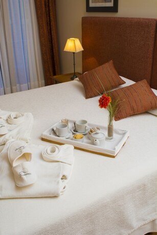 Imagen general del Hotel Chamonix Posada y Spa. Foto 16