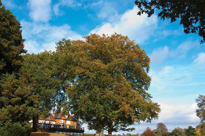 Imagen general del Hotel Champneys Forest Mere. Foto 2