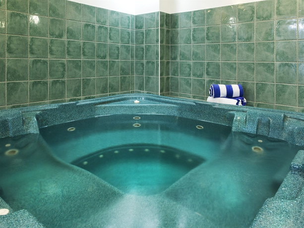 Imagen de la piscina del Hotel Chancellor On Currie. Foto 16