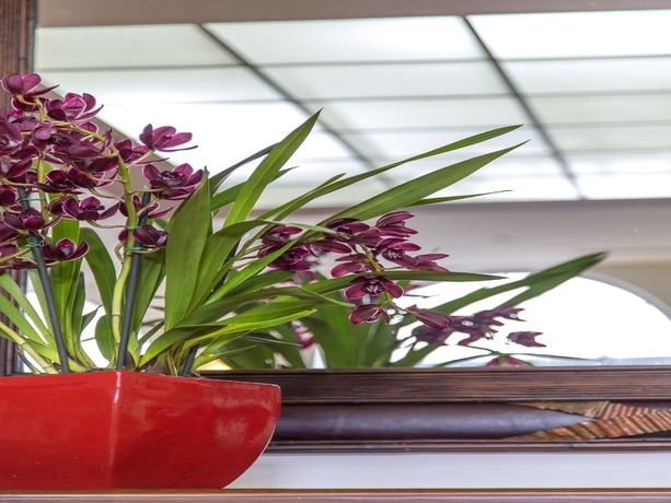 Imagen de los interiores del Hotel Chancellor On Currie. Foto 11