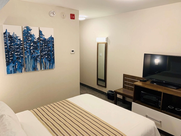Imagen de la habitación del Hotel Chandni Victoria. Foto 2