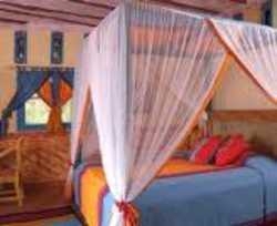 Imagen de la habitación del Hotel Changuu Private Island Paradise. Foto 3