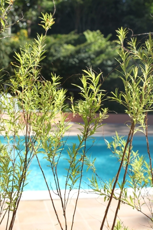 Imagen de la piscina del Hotel Chantaco Golf and Wellness. Foto 19