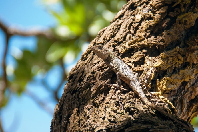 Imagen general del Hotel Chantauvent Guesthouse. Foto 4