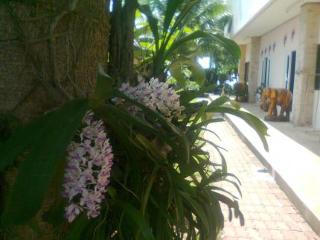 Imagen general del Hotel Chanthima Resort. Foto 13