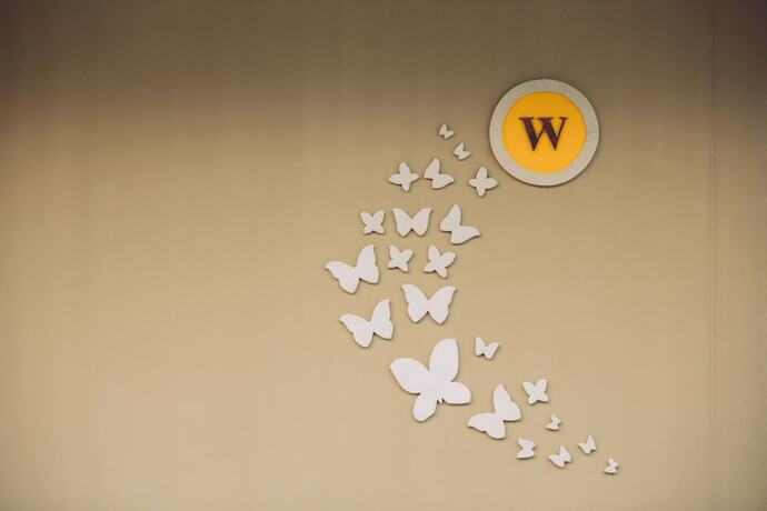 Imagen general del Hotel Chapulin Natural Resort. Foto 12