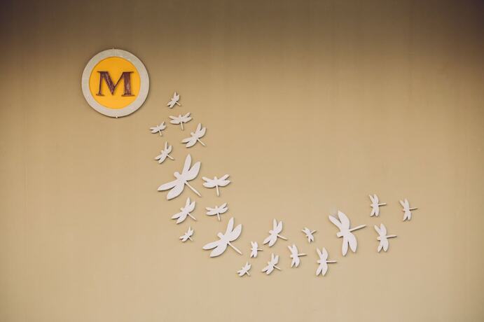 Imagen general del Hotel Chapulin Natural Resort. Foto 21