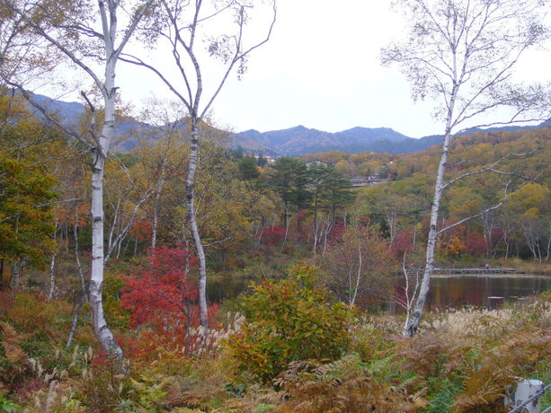 Imagen general del Hotel Charade Inn Shiga. Foto 5