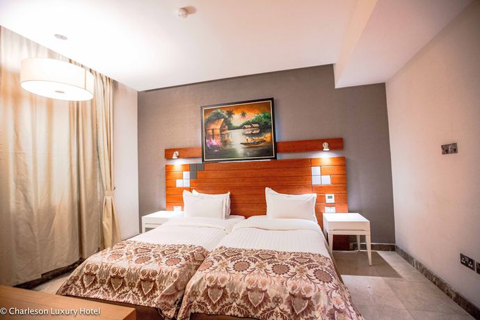 Imagen de la habitación del Hotel Charleson Luxury. Foto 8