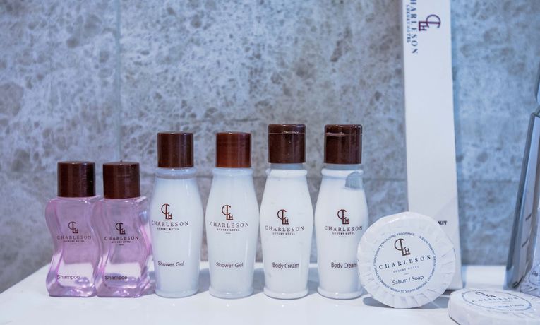 Imagen de la habitación del Hotel Charleson Luxury. Foto 15