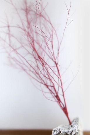 Imagen de la habitación del Hotel Charleston, Spoleto. Foto 8