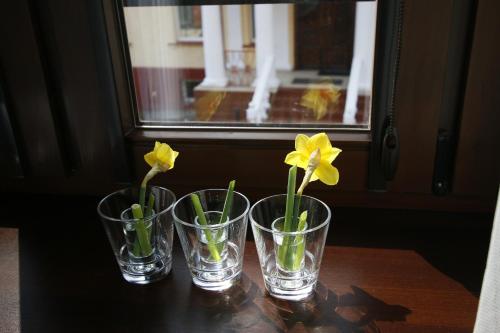 Imagen de la habitación del Hotel Charlotta. Foto 7