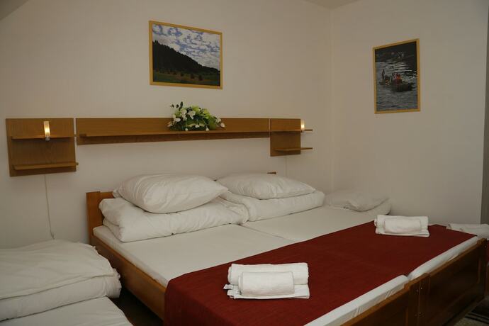 Imagen general del Hotel Chata Pieniny. Foto 4