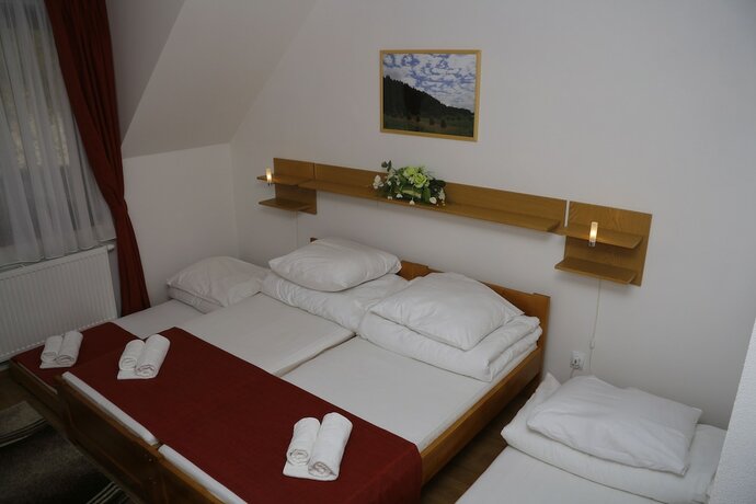 Imagen de la habitación del Hotel Chata Pieniny. Foto 19