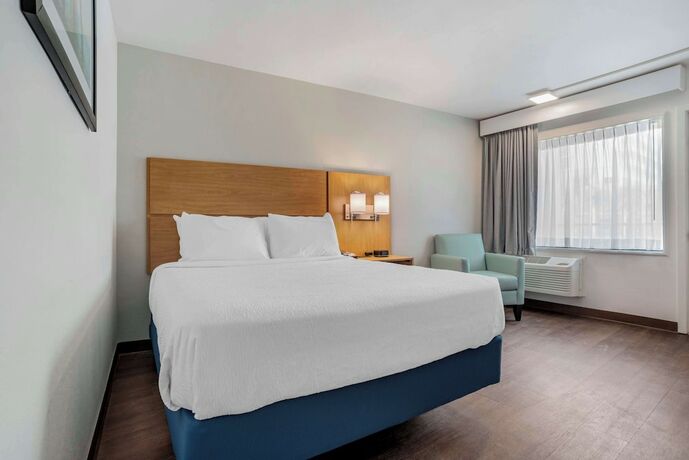 Imagen de la habitación del Hotel Chateau Beachfront Resort, Bw Signature Collection. Foto 13
