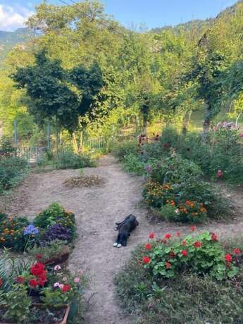 Imagen general del Hotel Chateau Chao. Foto 9