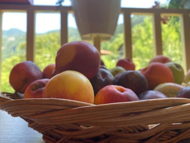 Imagen general del Hotel Chateau Chao. Foto 10