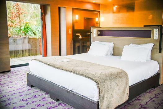 Imagen de la habitación del Hotel Chateau De Mery. Foto 4