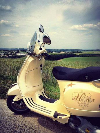 Imagen de la habitación del Hotel Chateau D'urspelt. Foto 7