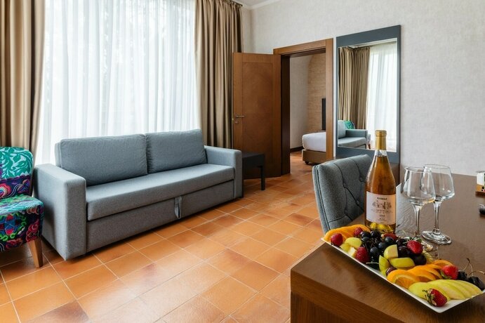 Imagen de la habitación del Hotel Chateau Kvirike. Foto 19