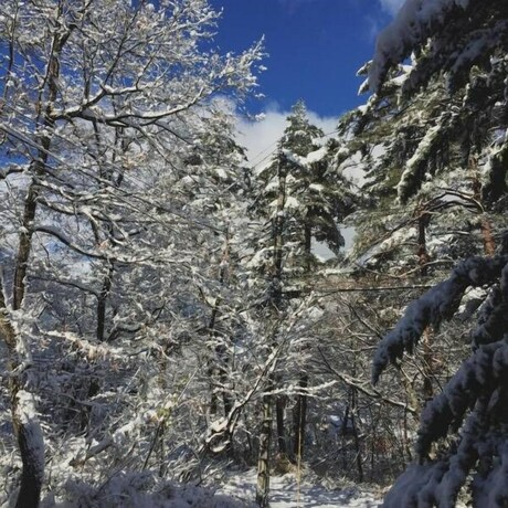 Imagen de los exteriores del Hotel Chateau Lausanne. Foto 26