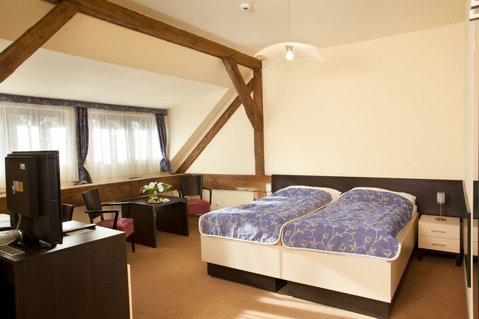 Imagen de la habitación del Hotel Chateau Liblice. Foto 6