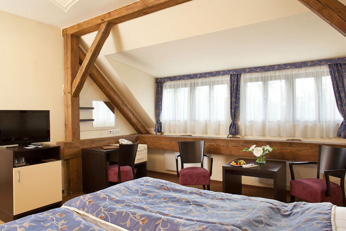 Imagen de los interiores del Hotel Chateau Liblice. Foto 15