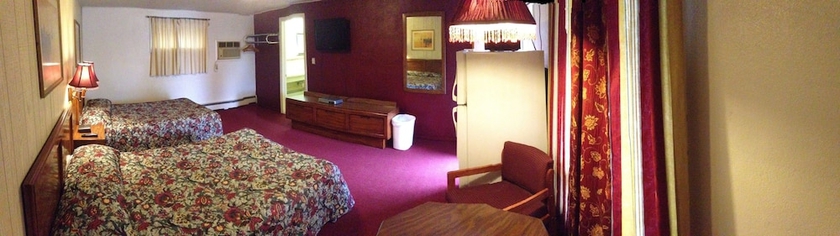 Imagen de la habitación del Hotel Chateau Motor Lodge. Foto 14