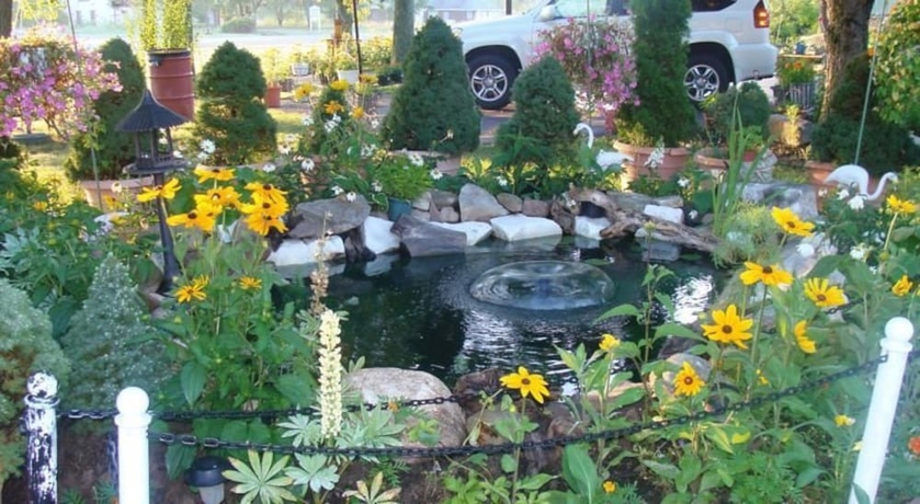 Imagen de los exteriores del Hotel Chateau Motor Lodge. Foto 19