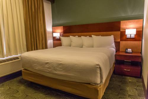 Imagen de la habitación del Hotel Chateau Nova Peace River. Foto 3
