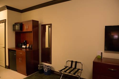 Imagen de la habitación del Hotel Chateau Nova Peace River. Foto 5