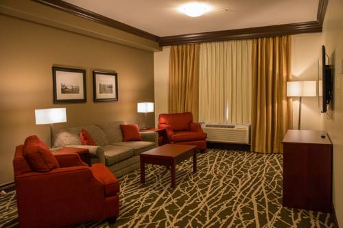 Imagen de la habitación del Hotel Chateau Nova Peace River. Foto 9