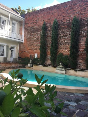 Imagen de la piscina del Hotel Chateau, Nueva orleans. Foto 19