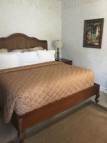 Imagen de la habitación del Hotel Chateau, Nueva orleans. Foto 14