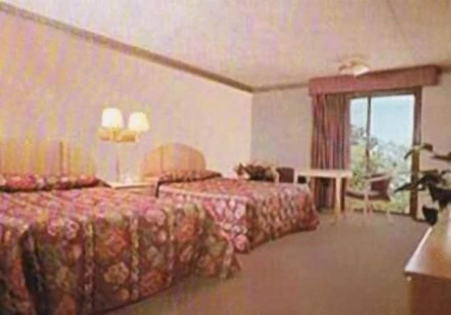 Imagen de la habitación del Hotel Chateau Royale Inn. Foto 8