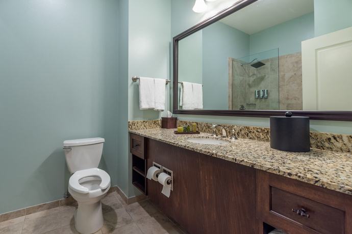 Imagen de la habitación del Hotel Chateau Saint Denis Hotel, a Trademark Collection by Wyndham. Foto 11