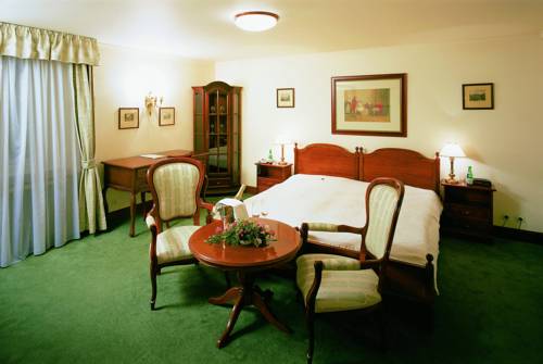 Imagen de la habitación del Hotel Chateau Štiřín. Foto 9
