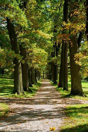Imagen de la habitación del Hotel Chateau Tře&scaron;ť. Foto 20