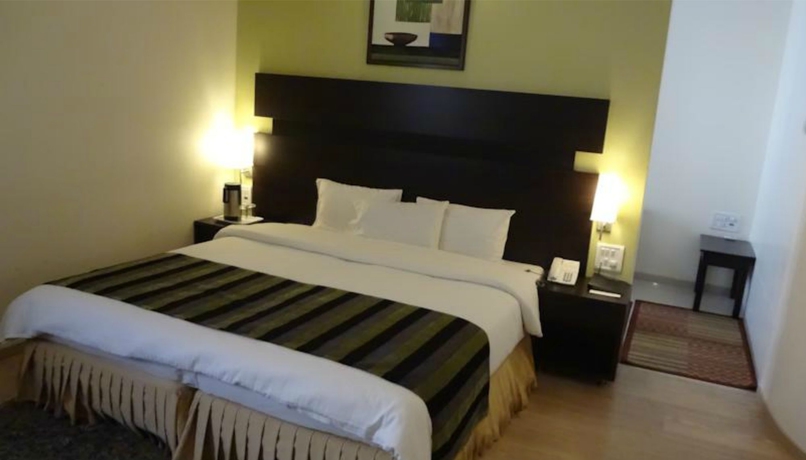 Imagen de la habitación del Hotel Chateau Windsor. Foto 6