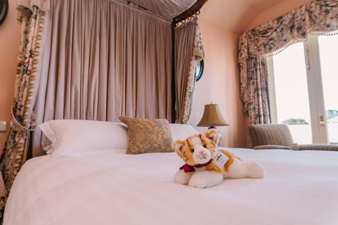 Imagen de la habitación del Hotel Chateau Yering. Foto 11