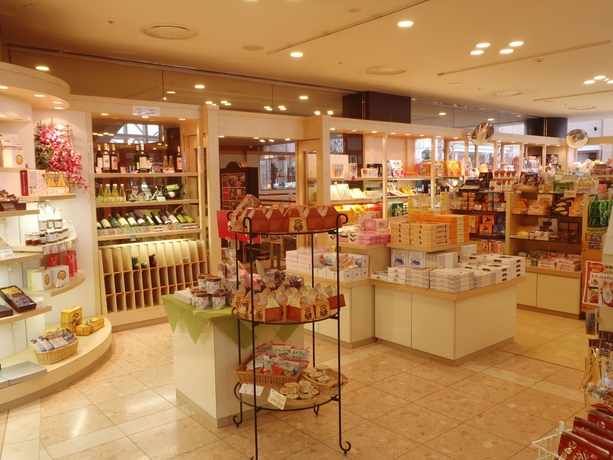 Imagen general del Hotel Chateraise Gateaux Kingdom Sapporo and Spa Resort. Foto 3