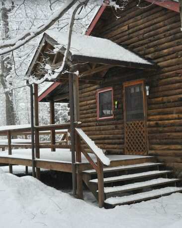 Imagen general del Hotel Cheat River Lodge and Cabins. Foto 4