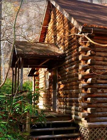 Imagen general del Hotel Cheat River Lodge and Cabins. Foto 12