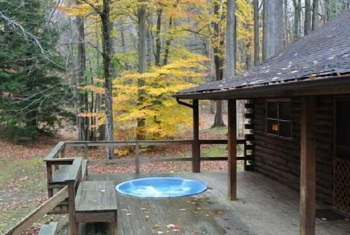 Imagen general del Hotel Cheat River Lodge and Cabins. Foto 16