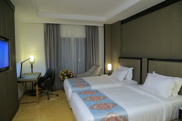Imagen de la habitación del Hotel Check Inns - Addis Ababa. Foto 18