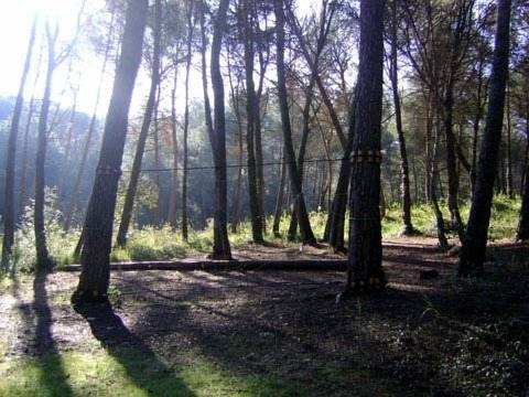 Imagen general del Hotel Checkin Montserrat. Foto 8