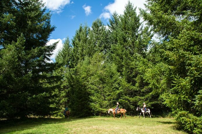 Imagen general del Hotel Chehalis Rv And Camping Resort. Foto 17