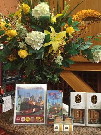 Imagen de los interiores del Hotel Chelsea Savoy. Foto 16